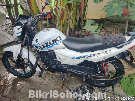 Suzuki hayate 2021